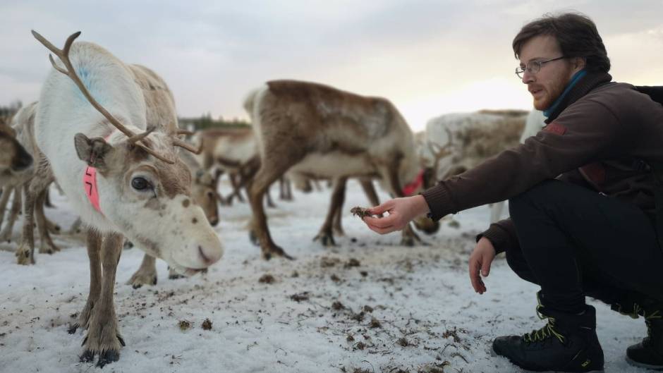 Man sitter på huk och matar ren i snölandskap.